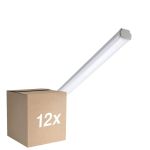 Confezione Multipack 12x Philips Stagna LED WT060C 20W 2500lm - 840 Bianco Freddo | 120cm