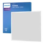 Philips Pannello A LED Ledinaire RC065B 28W 3400lm - 865 Luce Del Giorno | 60x60cm - UGR <22