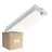 Confezione Multipack 4x Bright Choice Bulkhead LED Bianca 3W 280lm - 830 Luce Calda -  | IP66