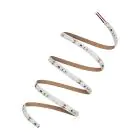 Ledvance Strisce LED Performance 21W 2310lm 24v - 930 Luce Calda -  | 5M/8mm - Miglior Resa Cromatica
